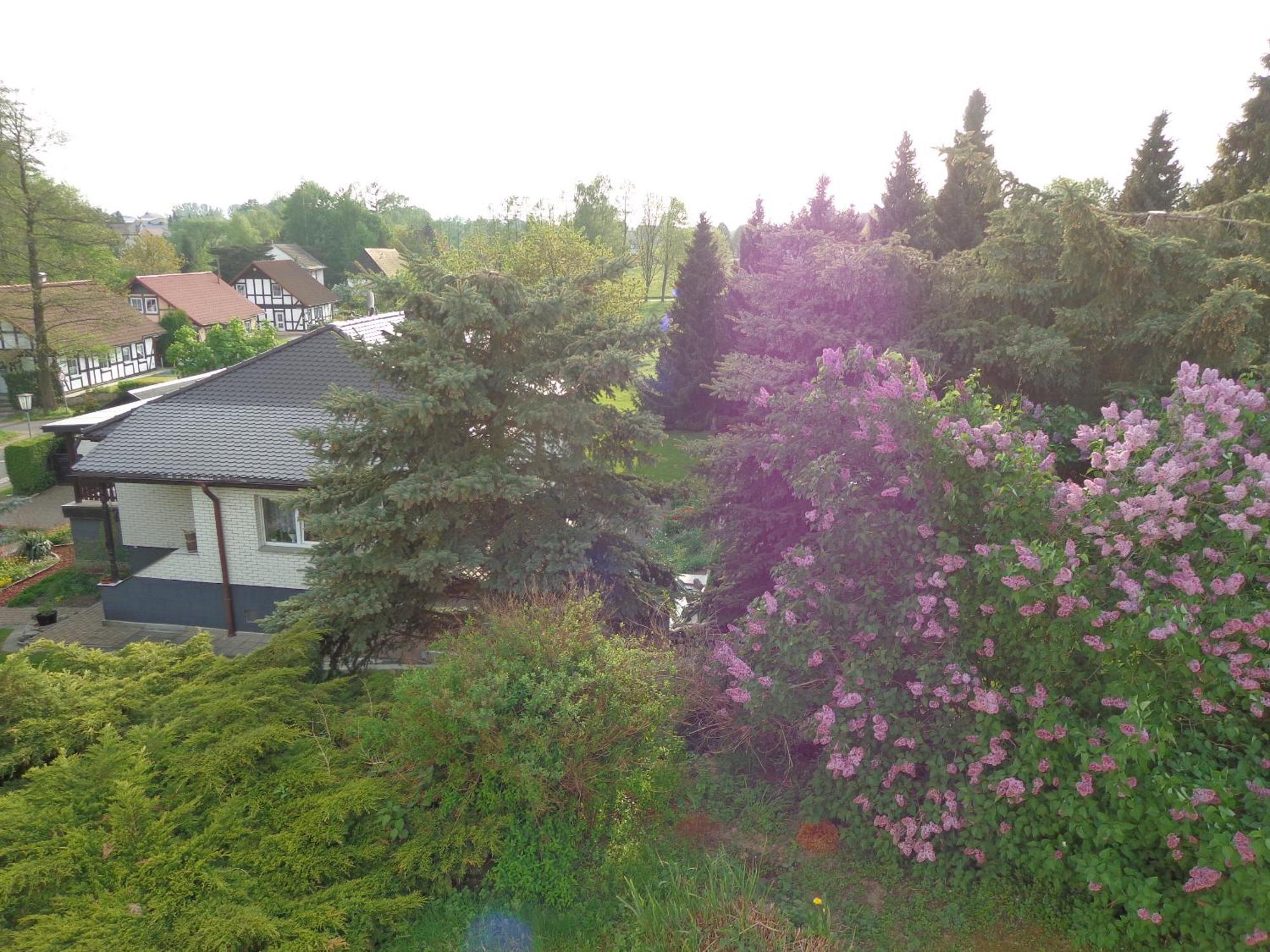 Pension Sonnenhuegel Markersdorf Exterior foto