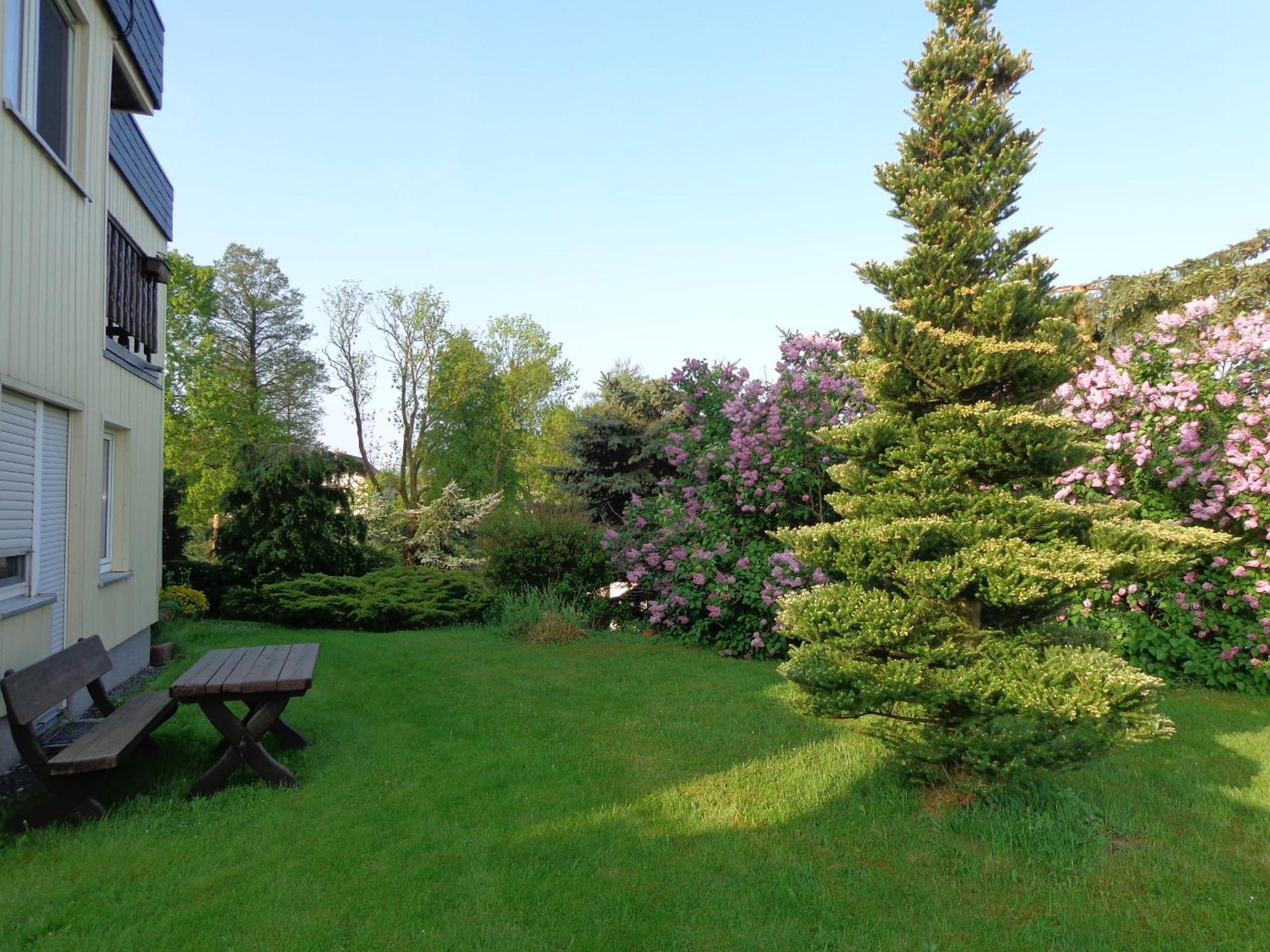 Pension Sonnenhuegel Markersdorf Exterior foto